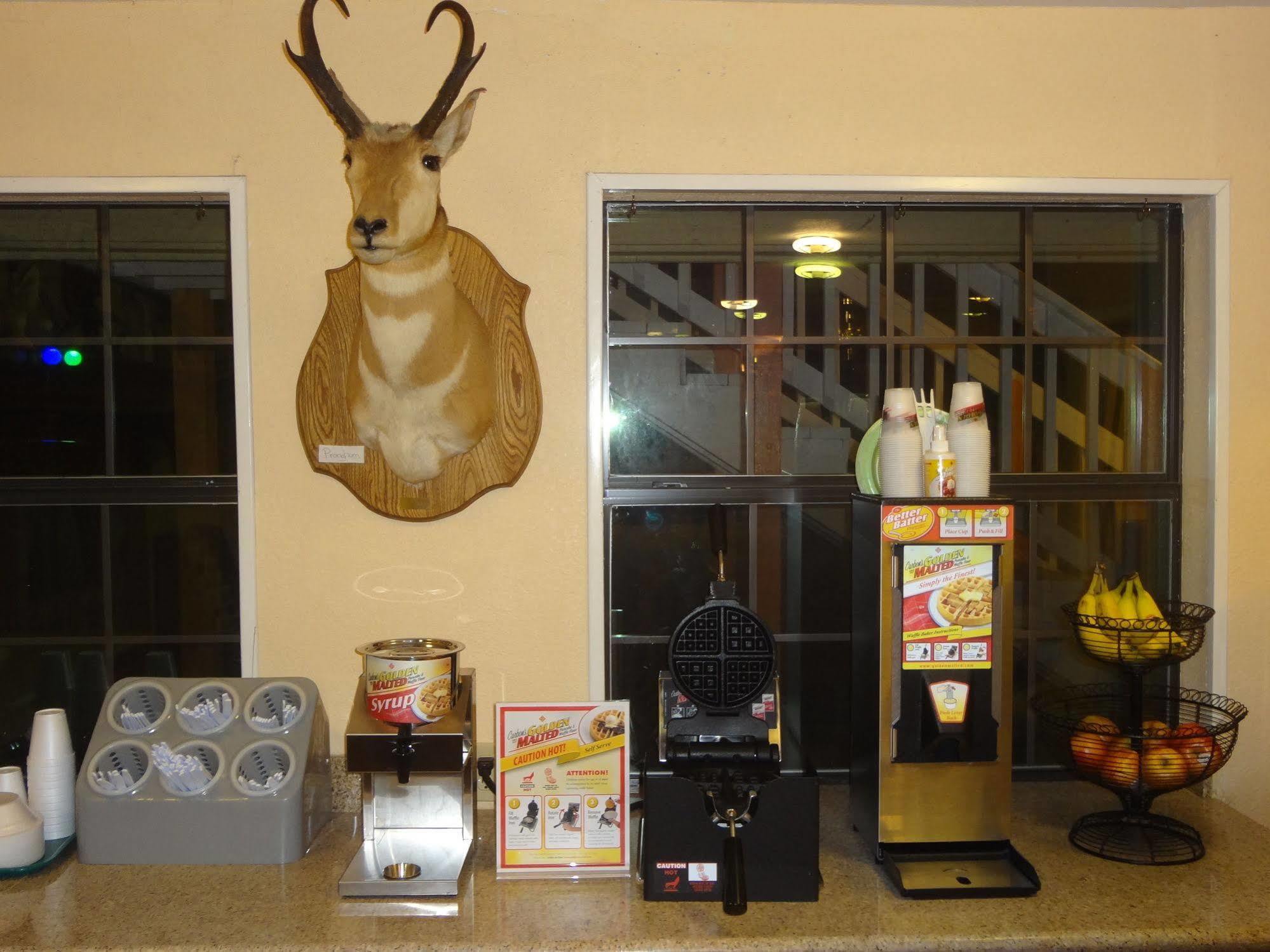 Antlers Inn Goliad Esterno foto
